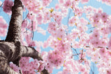 5 Tops to Ease the Transition from Winter to Spring