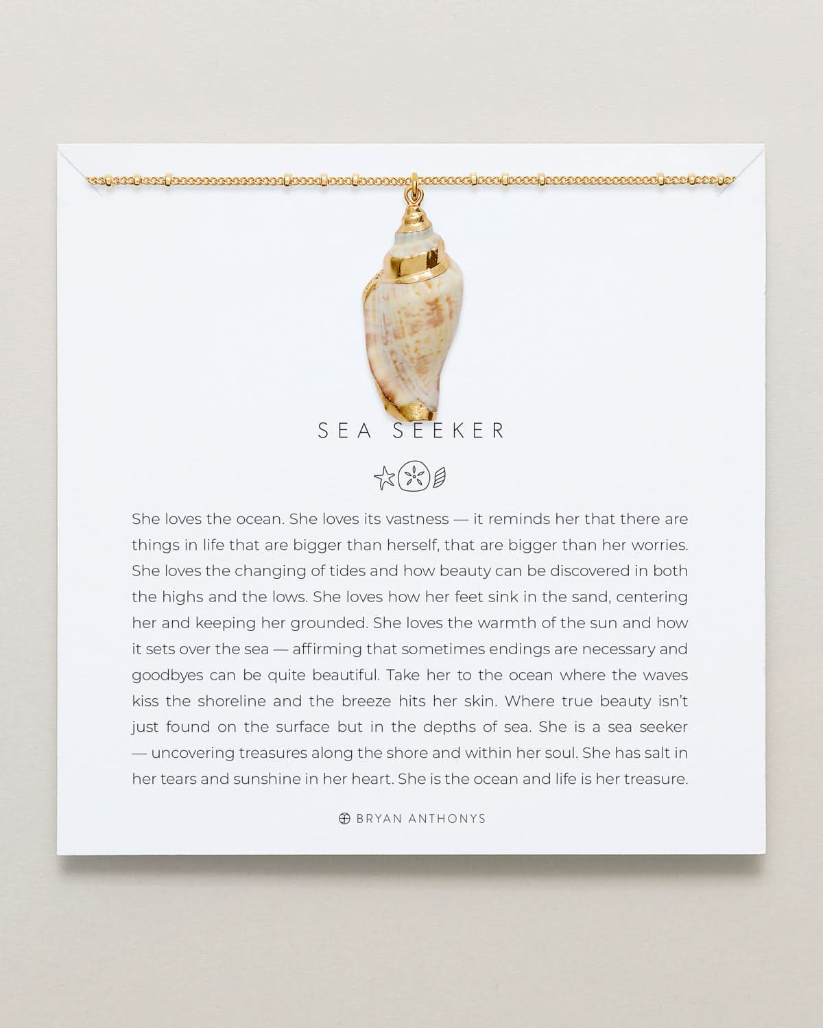 Sea Seeker Shell Necklace